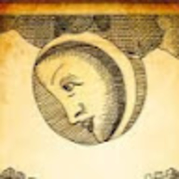 Meet your Posher, Willow - Picture 1 of 1